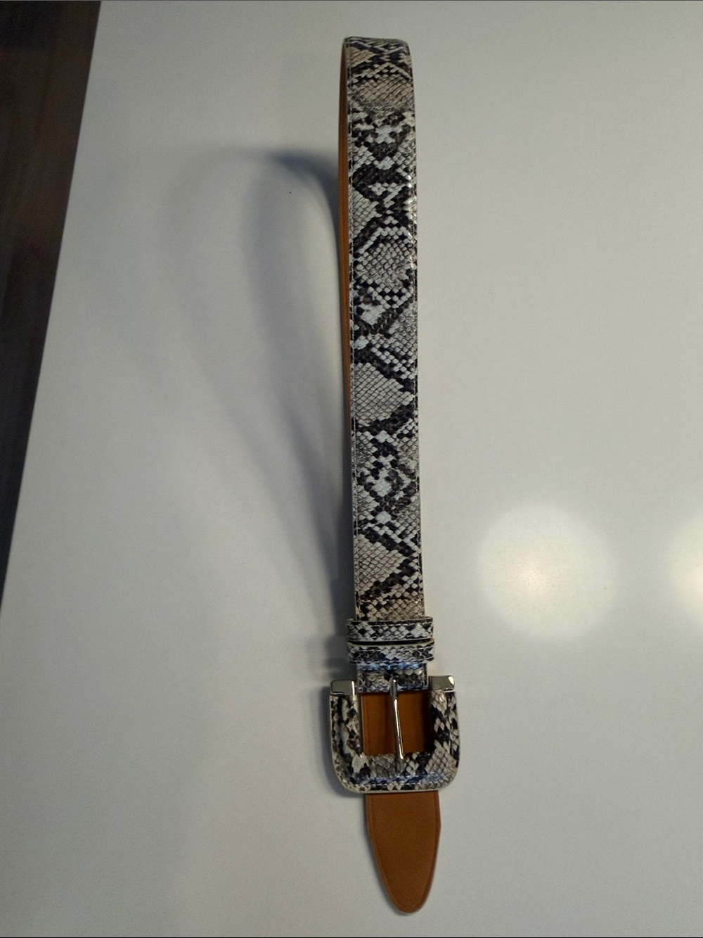 Women's Snake-Print Belt in Black & White with Tan Trim